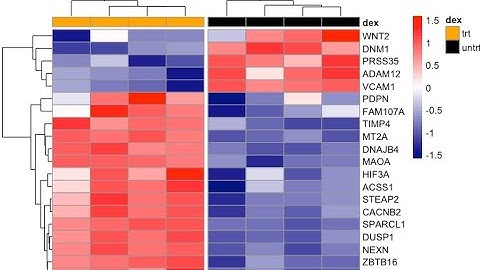 "Batch 61: How to Create Heatmaps in R - A Comprehensive Guide"