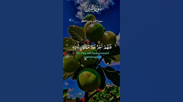 #سورة_التين #سورة_العلق #قران_كريم #اللهم_صل_وسلم_على_نبينا_محمد