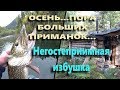 Осень, пора больших приманок! Негостеприимная избушка!!! Реальная рыбалка