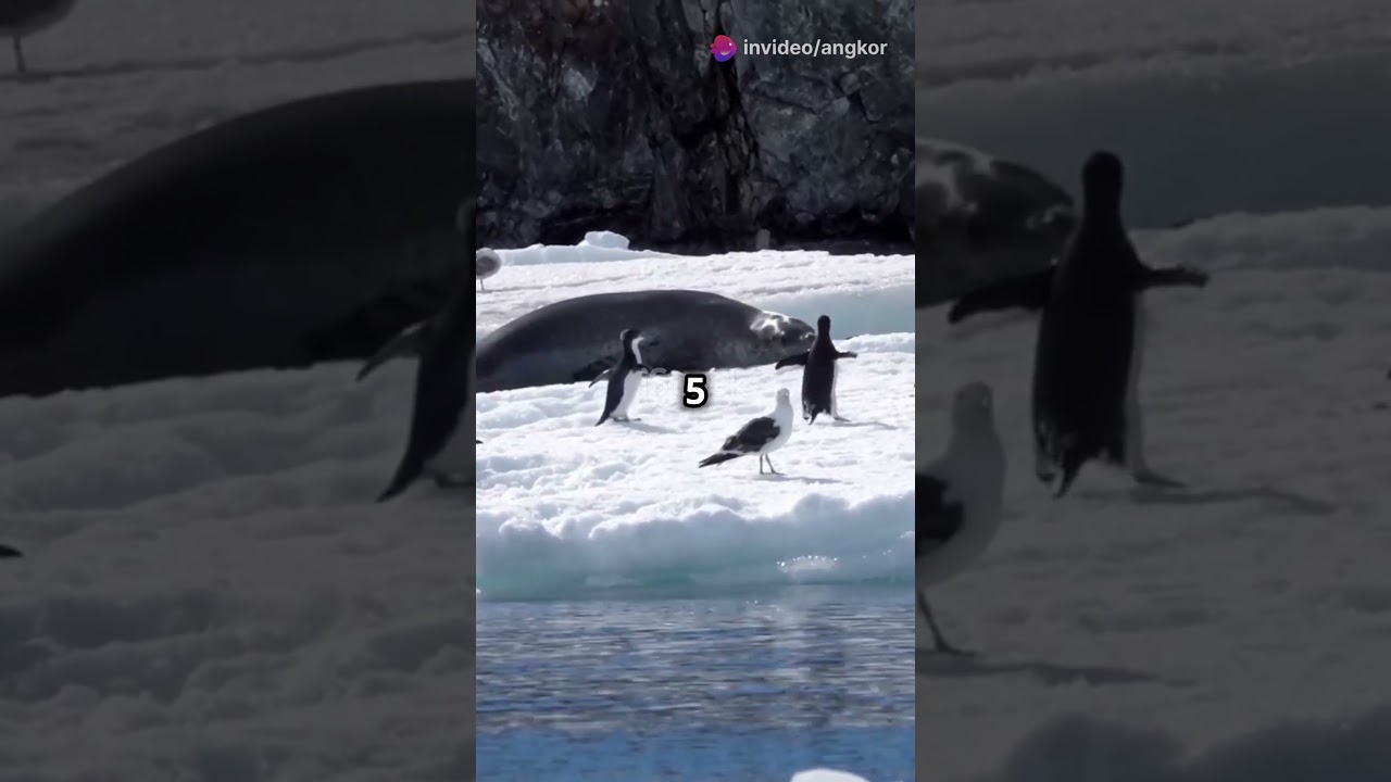 Cute Animals That Are Surprisingly Dangerous 