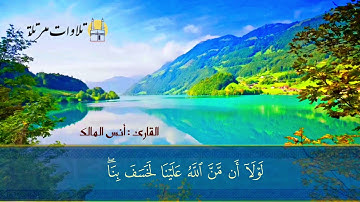 تلاوة هادئة  للقارئ أنس المالك من سورة القصص