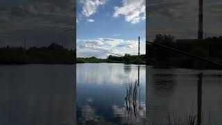 рыбалка, ловля карася, рыбалка на поплавок, рыбалка на карася,