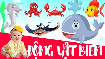 Dạy bé học động vật biển | Bé tập nói tên các con vật
