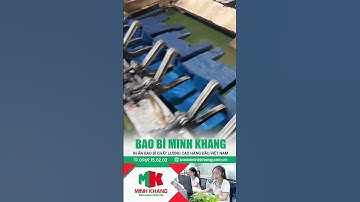 Túi xốp giá sỉ – Giải pháp cho kinh doanh #shortvideo