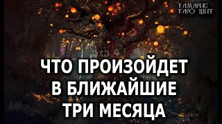 ЧТО ПРОИЗОЙДЕТ В БЛИЖАЙШИЕ ТРИ МЕСЯЦА 🔥 расклад таро