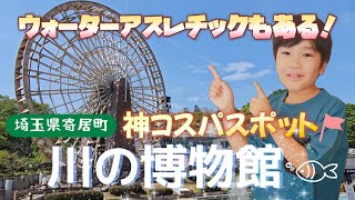 【神コスパ】ウォーターアスレチックもある博物館が楽しすぎた！【埼玉県立川の博物館】