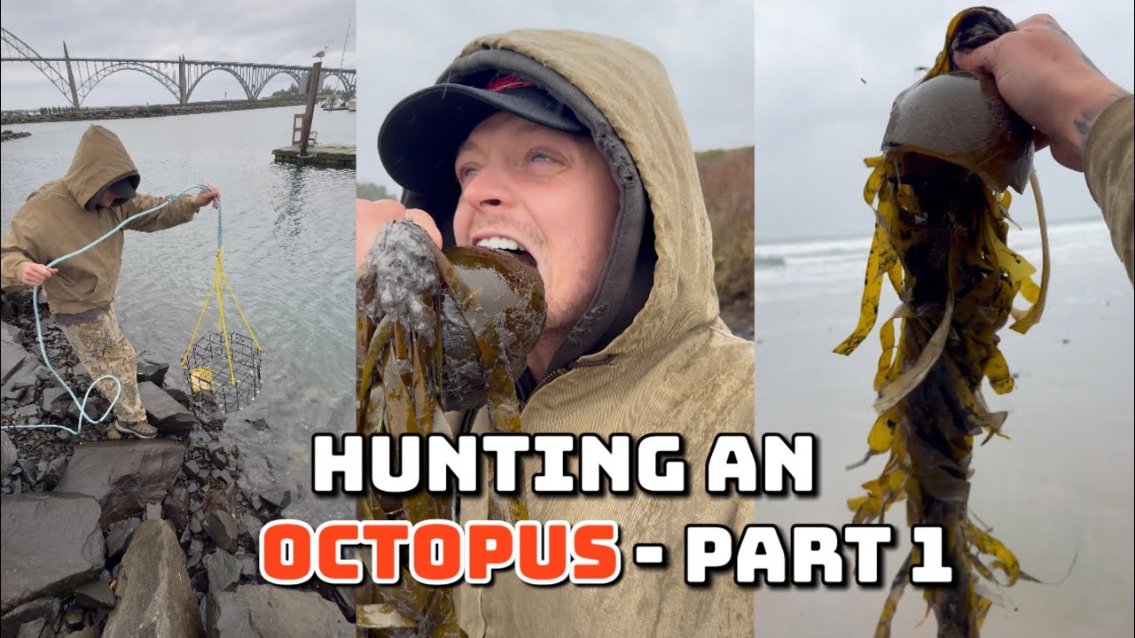 Hunting An Octopus! (Episode 1) 