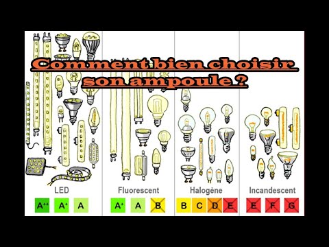 Vidéo: Comment s'appellent les petites ampoules ?