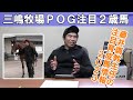 POGファン必見!2023年三嶋牧場育成注目2歳馬情報
