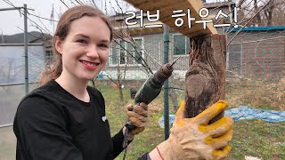 We built a house for a pregnant goat and ate Korean beef bibimbap