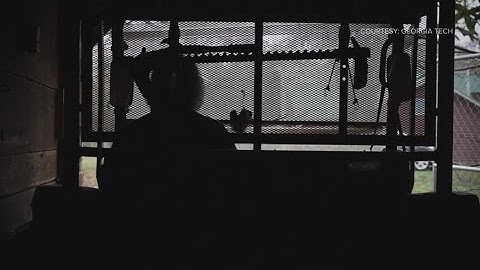 71-year-old graduates from Georgia Tech with her Masters