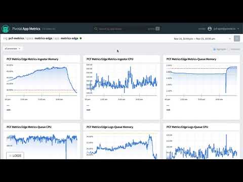 Observing Platform Metrics Along Side Application Metrics