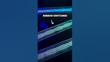 DDR Dance Pad Part 3: BUTTON MECHANISMS! | #ddr #arcade #arduino #electronics #sensors #robotics 🤖