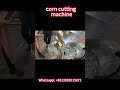 🌽Fresh Sweet Corn Processing Machine | Automatic Corn Cutting Solution for Factories