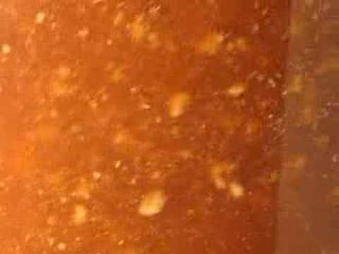Video: Mekanisme Imidazolium Cecair Ionik Cecair Dalam Saccharomyces Cerevisiae Dan Kejuruteraan Rasional Yang Toleran, Xylose-fermenting Strain