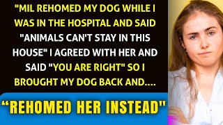 My Dog Rehomed While I Was in Hospital, MIL Declares 