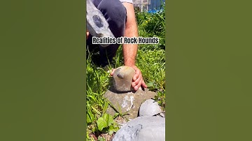 The reality & the reason ⛏️ #rocks #rockhounds #fossils #geology #life #shorts #hammer #story #earth