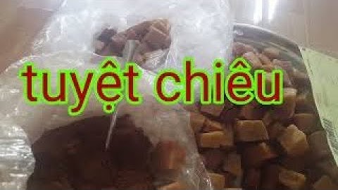 cách trộn mồi câu cá thuốc bắc - a quỳ câu cá giải trí - cách câu giải hồ - a quỳ