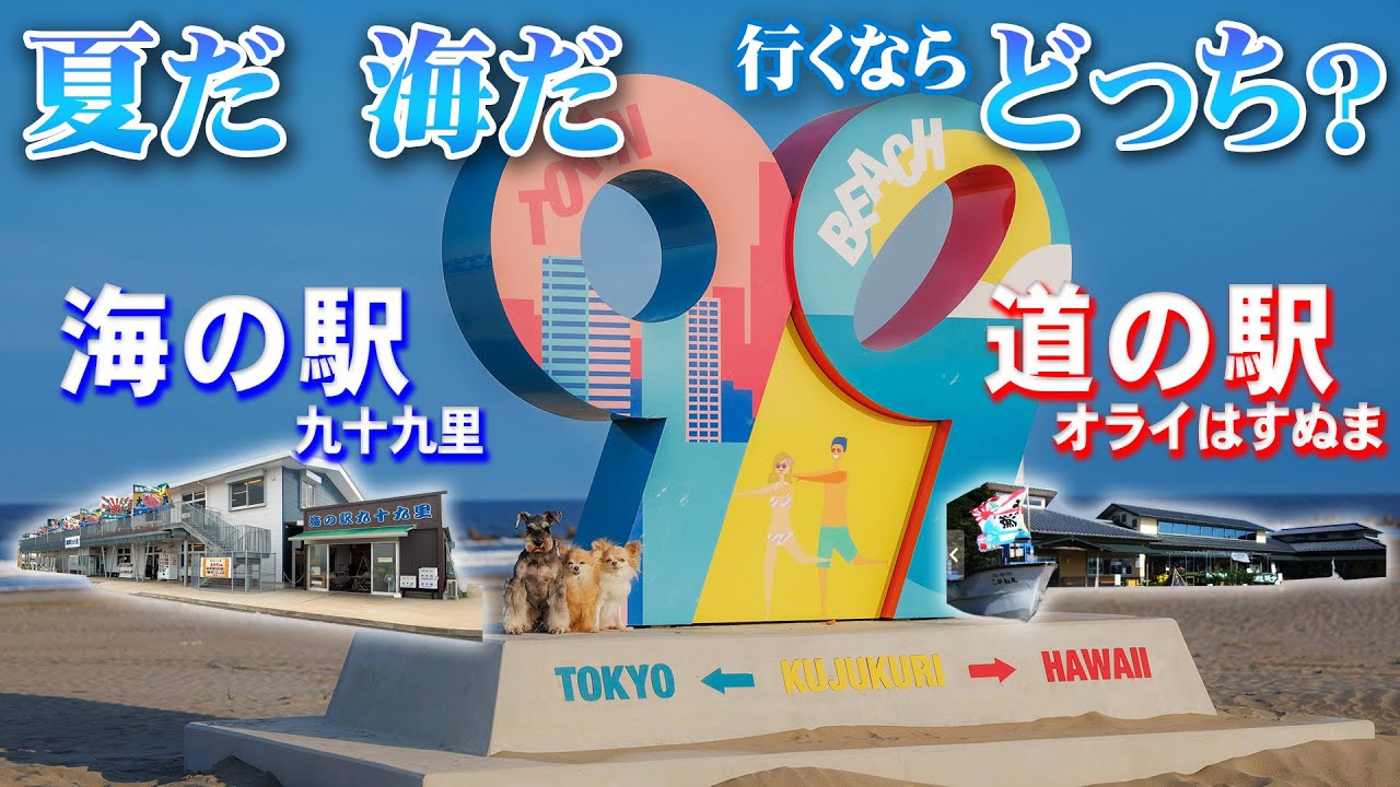 【海の駅＆道の駅】九十九里浜へ！！はじめての海の駅？夏にぴったりでした！道の駅も捨てがたいし、、、と悩んだら2つ行っちゃえ企画【海の駅九十九里＆道の駅オライはすぬま】