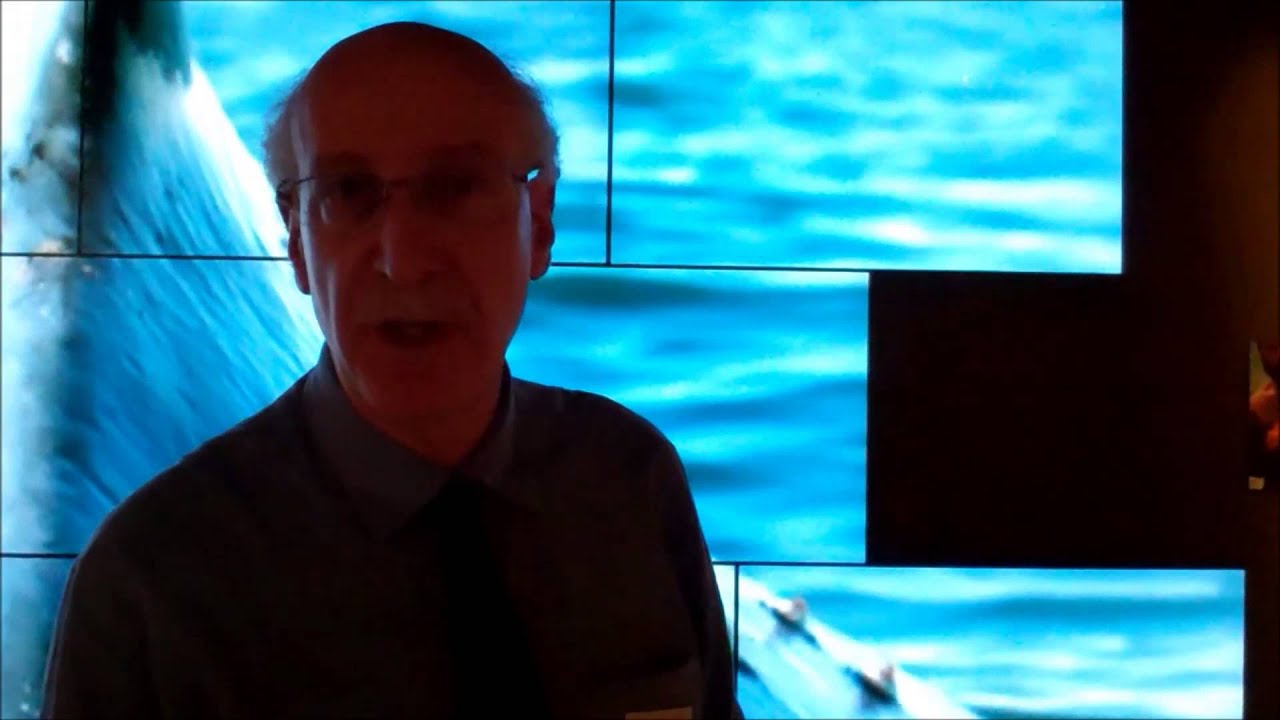 National Geographic Museum Uses Planar Clarity Matrix Video Wall - YouTube commintegrator