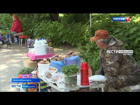 В Новочебоксарске началось благоустройство мини-рынка