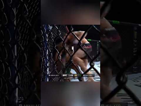 Запрещенный удар от Анкалаева🚫 / #mma #ufc #shorts #youtubeshorts #reels #fighting #2024 #fyp