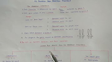 4.2 Deviation from Mendelian inheritance: Overview