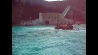 2008 2 16九族~阿德1