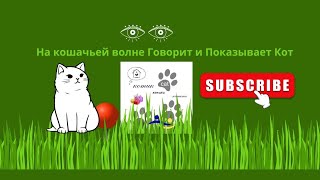 Смотрите, Как Сладко Тянется Этот Пушистик