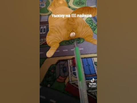 Пук пук - YouTube