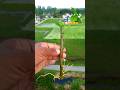 How to Grow Lemon Tree Cutting In A Papaya Fruit