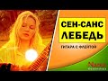 К.Сен-Санс - Лебедь... Карнавал животных Гитара с флейтой Гари Вульф и Надия Косинская