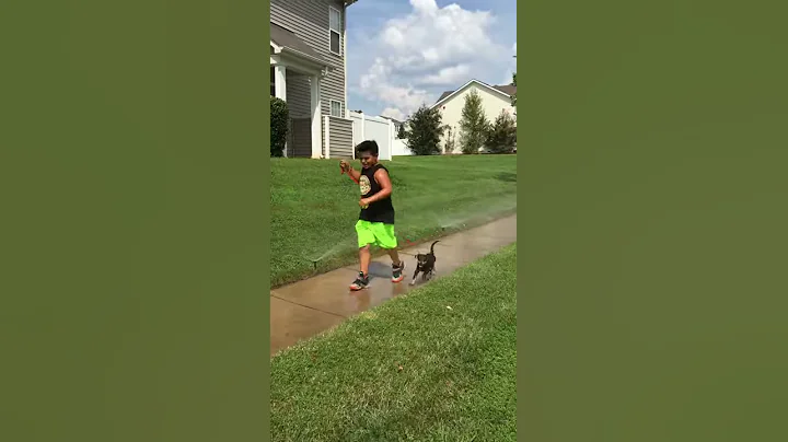 Sadie, Samuel, and the Sprinklers!