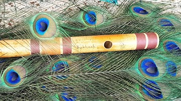 Punam Flutes Unboxing and first look