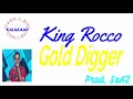 King Rocco|Gold Digger|MTV Hustle|Instrumental with Lyrics Mp3 Song