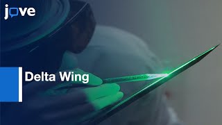 Famous Flow Structure Imaging over Delta Wing by Flow Visualization Methods | Protocol Preview Wealth