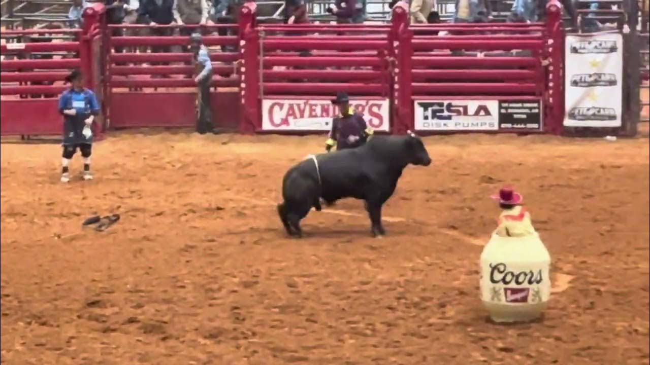 2024 Ike Stampede Rodeo Bull Riding YouTube