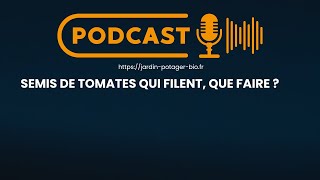 Comment éviter des semis de tomates qui filent ? Astuces et conseils ! 🌱🍅