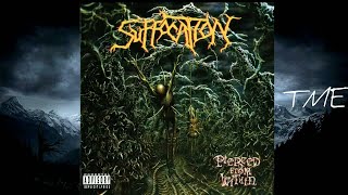 09-Breeding the Spawn (Pierced Version)-Suffocatiom-HQ-320k.