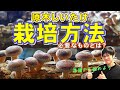 ① 初めてのシイタケ栽培に必要なもの ①~⑦ "総集編" 【原木椎茸栽培】