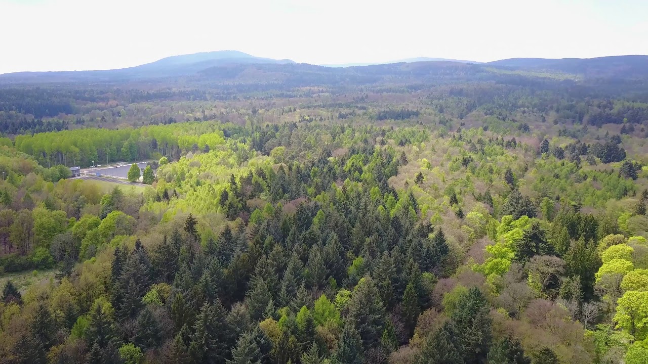 Aerial Shot Of Woods - Free Stock Creative Commons Video