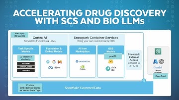 Snowpark Container Services And Bio LLMs For Accelerating Drug Discovery
