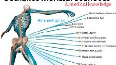 chapter 14 Angular kinematics of human movement detail concept #PART 3