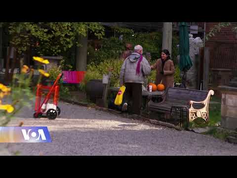 7-წლიანი ბრძოლა 200-წლიანი ისტორიის ბაღის გადასარჩენად