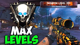 The New 250 Max Level Farm Makes Prestige Camos Easy Bo7 Zombies