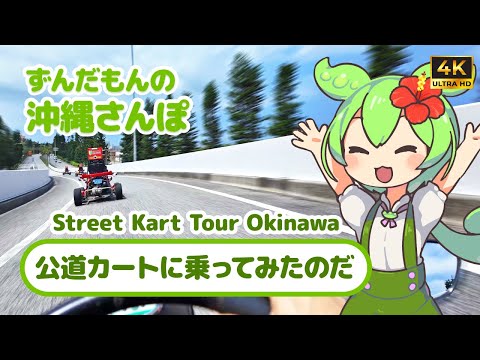 【4K】公道カートに乗ってみたのだ（ずんだもんの沖縄さんぽ） Street Kart Tour Okinawa in Japan