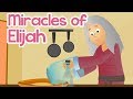 Miracles of Elijah | 100 Bible Stories