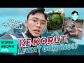 COBAIN KE "KOREA UTARA".. BEGINI PERJALANANNYA..