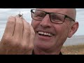 Mucking Marshes: Landfill site to wildlife haven - BBC London