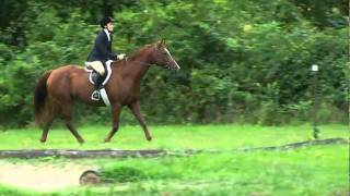 Amigo Outside Hunter Course-August 2010 Amit Show